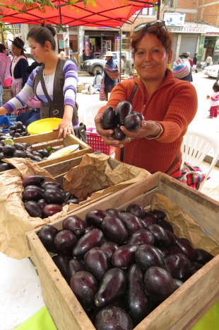 OFERTA. La feria realizada ayer.