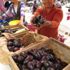 OFERTA. La feria realizada ayer.