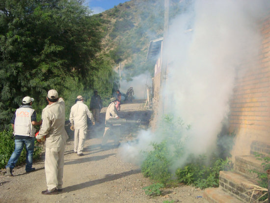 CHUQUISACA. La prevencin est dando sus resultados y no hay casos de dengue.