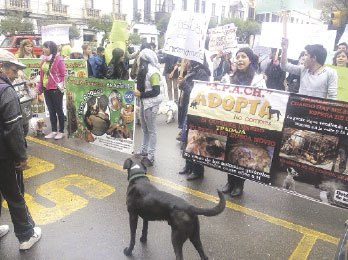 PROTESTA. Activistas de las dos asociaciones protectoras de animales marcharon ayer.