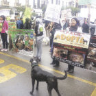 PROTESTA. Activistas de las dos asociaciones protectoras de animales marcharon ayer.