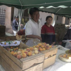 PRODUCCIN. Los visitantes podrn desgutar de durazno recin cosechado.