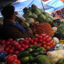 MERCADO. El tomate es uno de los productos que ms subi de precio en la Capital.