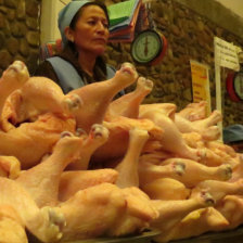 POLLO. Puesto de venta en el mercado.