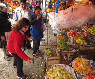 Frenes en martes de ch