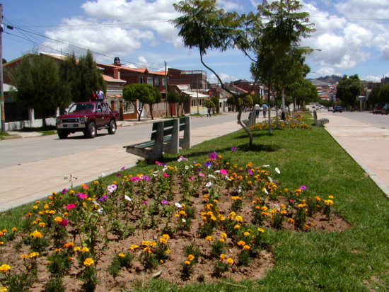 FORESTACIN. El Plan Municipal de Ordenamiento Territorial contempla el mejoramiento y creacin de reas verdes en la ciudad.