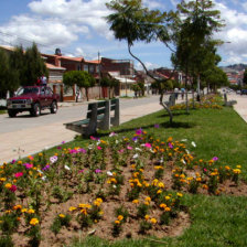 FORESTACIN. El Plan Municipal de Ordenamiento Territorial contempla el mejoramiento y creacin de reas verdes en la ciudad.