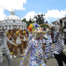 CREATIVIDAD. La comparsa Madagascar del Regimento Sucre 2 de Infantera hizo vibrar al pblico con su alegra y sus hermosos disfraces.