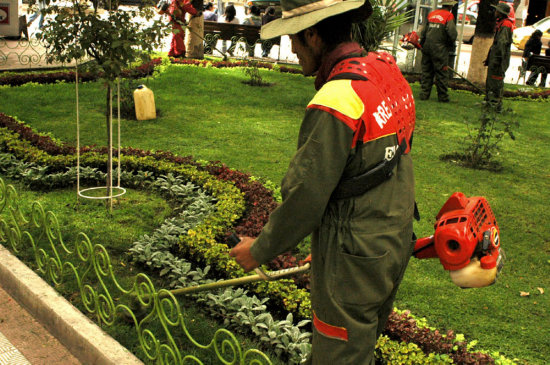 FORESTACIN. La creacin de reas verdes es un pedido imperioso en la ciudad.