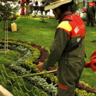 FORESTACIN. La creacin de reas verdes es un pedido imperioso en la ciudad.