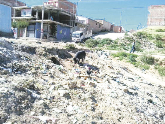 CONTAMINACIN. Varias esquinas se convierten en depsitos de basura temporales.