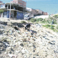 CONTAMINACIN. Varias esquinas se convierten en depsitos de basura temporales.