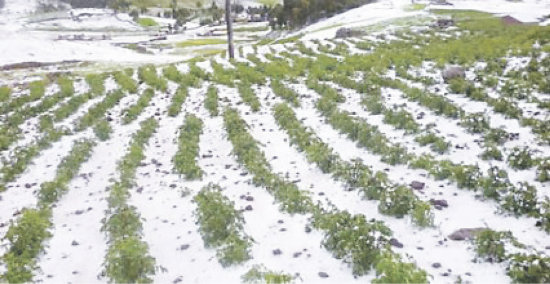 CLIMA. La granizada afecta a La Paz.