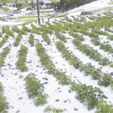 CLIMA. La granizada afecta a La Paz.