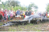 PELIGRO. Animales huyen de las aguas.